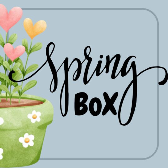 Spring Box