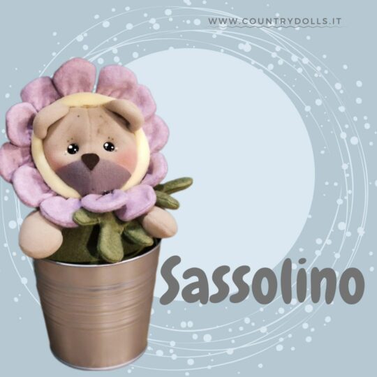 CORSO on line Sassolino