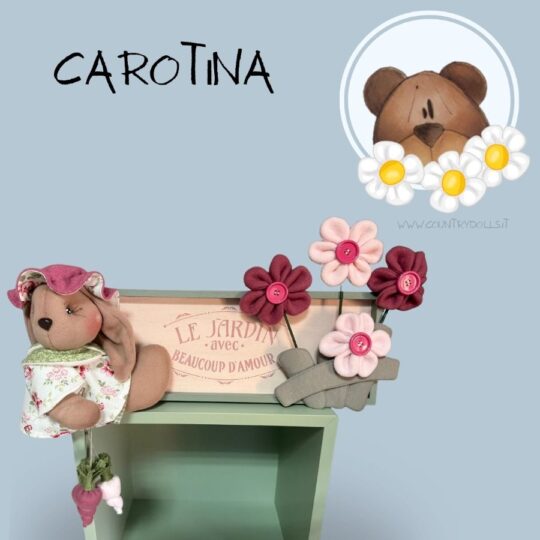 CAROTINA kit